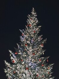 年末年始の営業日のお知らせ